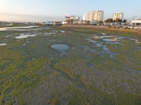 Ria Formosa - Faro Seafront